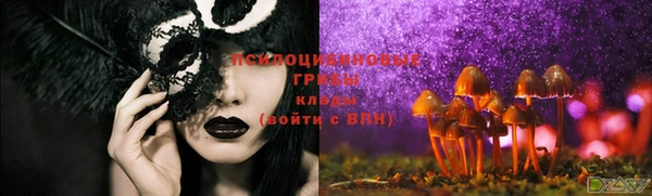 MDMA Premium VHQ Богородицк