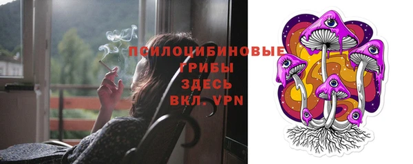 MDMA Premium VHQ Богородицк