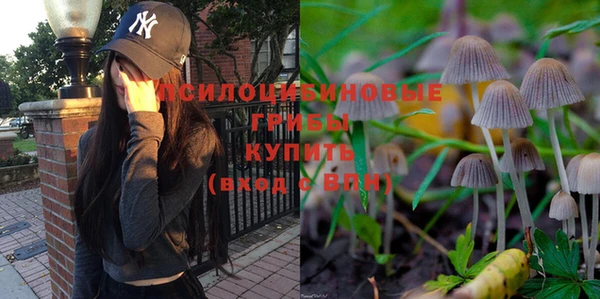 MDMA Premium VHQ Богородицк